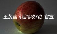 王茂蕾《延禧攻略》官宣定檔 狠戾總管步步為營為復(fù)仇