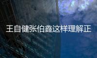 王自健張伯鑫這樣理解正確嗎?
