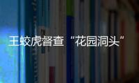 王蛟虎督查“花園洞頭”十大項(xiàng)目建設(shè)情況
