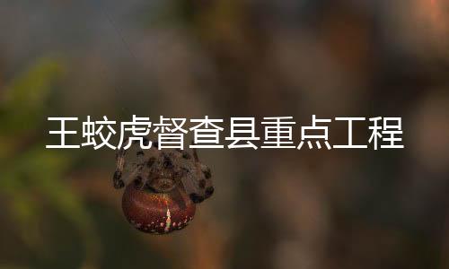 王蛟虎督查縣重點工程