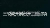 王蛟虎開展已開工重點項目督察工作
