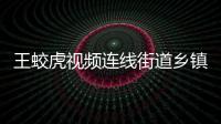 王蛟虎視頻連線街道鄉鎮部署抗臺工作