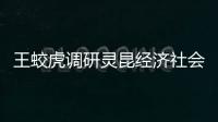 王蛟虎調研靈昆經濟社會發展工作