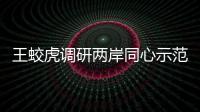王蛟虎調(diào)研兩岸同心示范帶