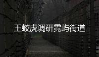 王蛟虎調(diào)研霓嶼街道