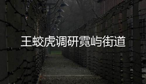 王蛟虎調(diào)研霓嶼街道