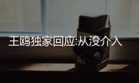 王鷗獨家回應:從沒介入任何人婚姻 沒婚史