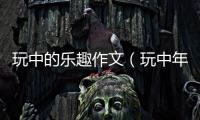 玩中的樂(lè)趣作文（玩中年女人）