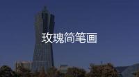 玫瑰簡筆畫