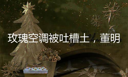 玫瑰空調(diào)被吐槽土，董明珠回應：站的維度不同，我無所謂