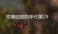 玫瑰綻放的年代第29