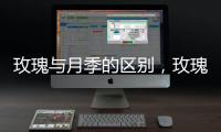 玫瑰與月季的區別，玫瑰花上刺多有毛（月季上刺大無毛）
