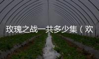 玫瑰之戰一共多少集（歡樂頌一共多少集）