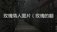 玫瑰情人圖片（玫瑰的翻版情人）