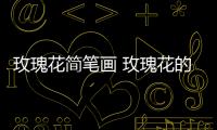 玫瑰花簡筆畫 玫瑰花的畫法