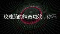 玫瑰茄的神奇功效，你不可錯(cuò)過