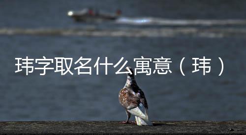 瑋字取名什么寓意（瑋）