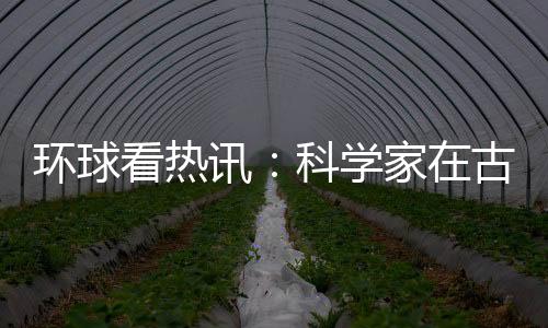 環球看熱訊：科學家在古老洞穴中發現現代海平面空前上升的證據