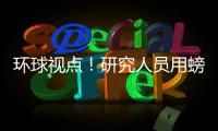 環(huán)球視點(diǎn)！研究人員用螃蟹制出更環(huán)保電池