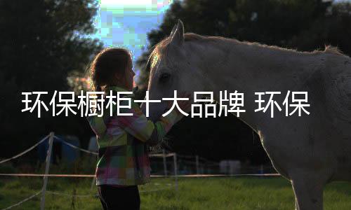環保櫥柜十大品牌 環保櫥柜品牌介紹