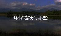 環(huán)保墻紙有哪些