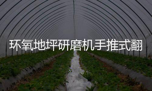 環氧地坪研磨機手推式翻新拋光機石材翻新機水泥無塵打磨機