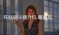 環鏈鋼斗提升機 垂直瓦斗提升機LJY1