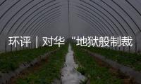 環評｜對華“地獄般制裁”？這是蠢還是壞