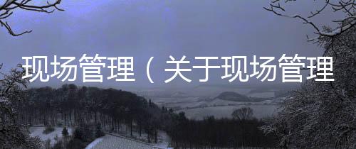 現場管理（關于現場管理的基本情況說明介紹）