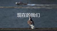 現(xiàn)在的我們