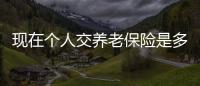 現在個人交養老保險是多少錢