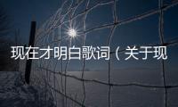 現在才明白歌詞（關于現在才明白歌詞的基本情況說明介紹）