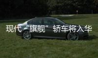 現代“旗艦”轎車將入華 尺寸超邁巴赫S