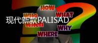現代新款PALISADE實拍 或將于2020年上市