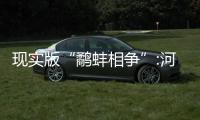 現實版“鷸蚌相爭”:河蚌夾住小鳥腳 神奇一幕！