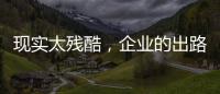 現(xiàn)實太殘酷，企業(yè)的出路在哪兒？