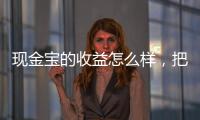 現金寶的收益怎么樣，把錢放在現金寶好還是余額寶好