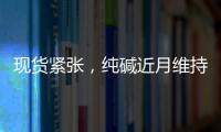 現貨緊張，純堿近月維持強勢