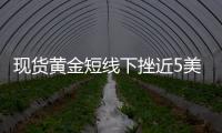 現(xiàn)貨黃金短線下挫近5美元