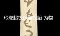 玲瓏超級纖維輪胎 為物流行業注入科技活力