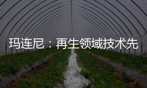 瑪連尼：再生領(lǐng)域技術(shù)先驅(qū)一一法亞逆流式加熱再生技術(shù)