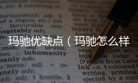 瑪馳優(yōu)缺點（瑪馳怎么樣）