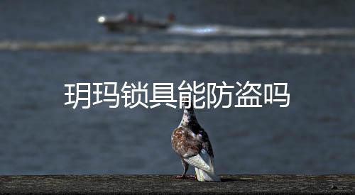 玥瑪鎖具能防盜嗎