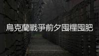 烏克蘭戰爭前夕囤糧囤肥，開戰價格全面暴漲後中國「悶聲發大財」？