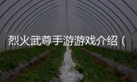 烈火武尊手游游戲介紹（烈火武尊手游）