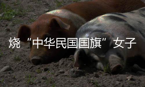燒“中華民國國旗”女子叫囂：讓燒旗成為全民運(yùn)動(dòng)