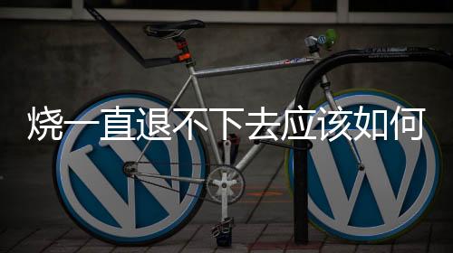 燒一直退不下去應該如何辦