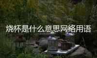 燒杯是什么意思網(wǎng)絡(luò)用語