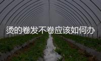 燙的卷發(fā)不卷應該如何辦
