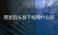 燙發后頭發干枯用什么好